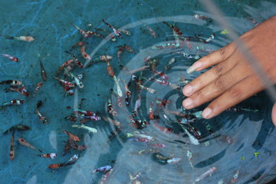 Person hand in sea