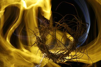 Close-up of yellow fire