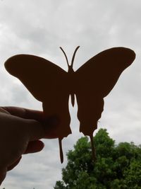 Close-up of hand holding leaf against sky