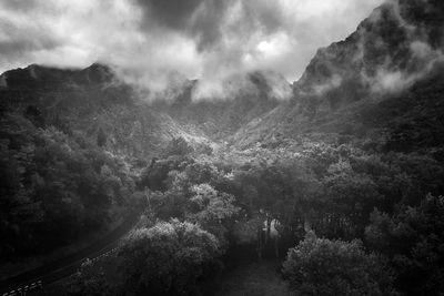 Scenic view of forest against sky