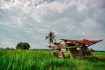 Agricultural field against sky