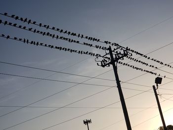 Low angle view of birds flying against sky