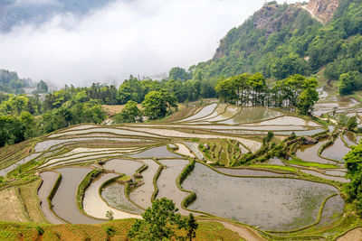 Scenic view of farm against sky