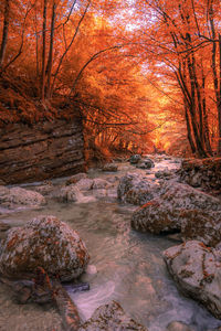 Stream flowing through rocks in forest during autumn