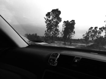 Cropped image of car on road