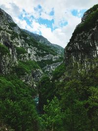 Scenic view of forest against sky