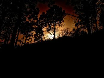 Silhouette trees in forest against sky during sunset