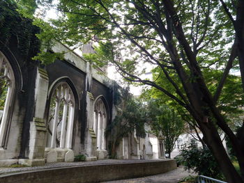 Low angle view of trees and building