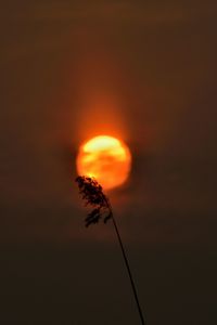 View of sky at sunset