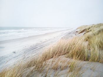 Scenic view of beach against clear sky