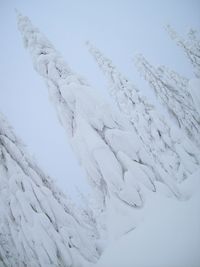 Scenic view of snow covered mountains against sky