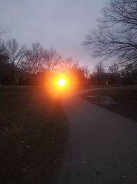 Silhouette bare trees by road against sky during sunset