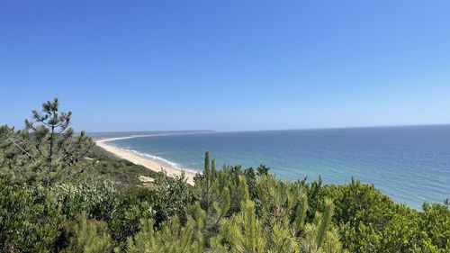 Scenic view of sea against clear blue sky