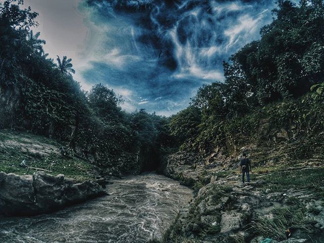 tree, sky, rock - object, tranquility, tranquil scene, scenics, nature, rock formation, beauty in nature, mountain, cloud - sky, landscape, non-urban scene, rock, cloud, day, cliff, outdoors