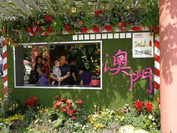 People in front of red flowering plants in yard