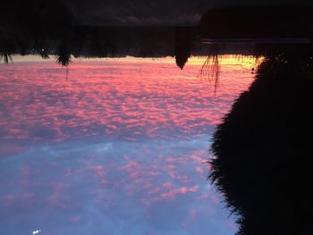 Reflection of trees in water against sky