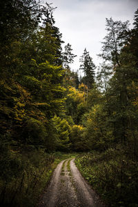 Road amidst trees in forest against sky