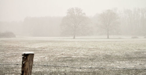 View of trees on snow covered landscape