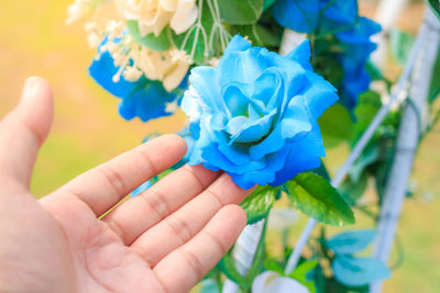 Cropped hand of person touching blue flower