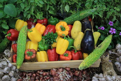 Various vegetables for sale at market stall