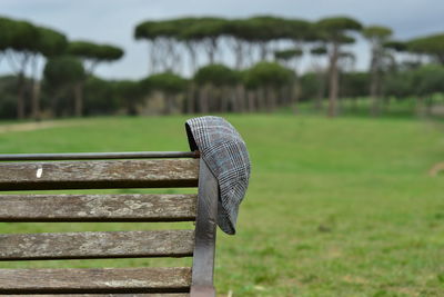 Close-up of bench in park