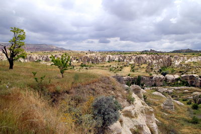  the view on the valley in the mountains with a cart on the foreground.