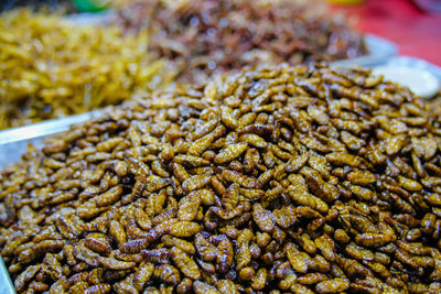 Close-up of worms for sale in market