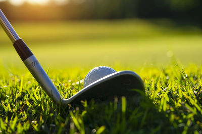 Close-up of golf ball on field