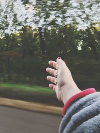 Close-up of hand against trees