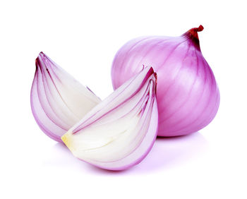 Close-up of purple flower against white background