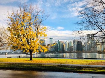 Trees by river in city against sky during autumn