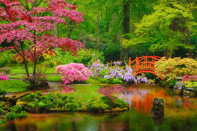 Japanese garden, park clingendael, the hague, netherlands