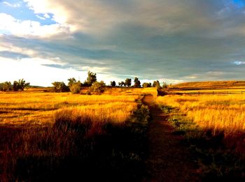 Scenic view of field against cloudy sky