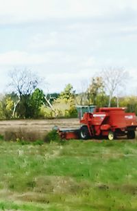 Trees on grassy field against cloudy sky