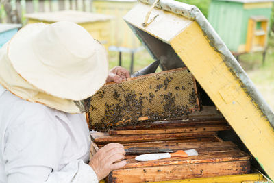 Rear view of man working on table