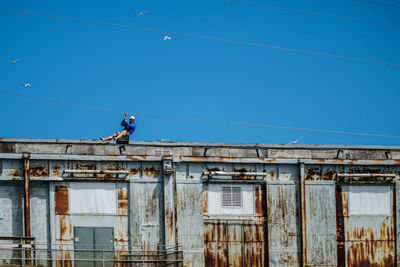 Low angle view of birds perching on cable against blue sky