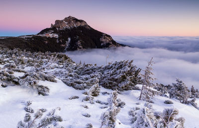 Scenic view of frozen lake against sky during winter