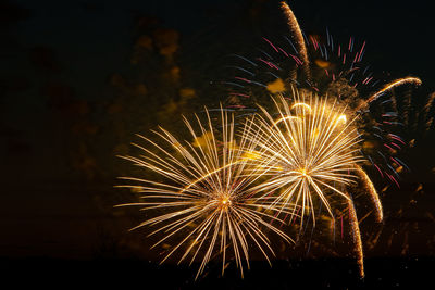 Low angle view of firework display at night