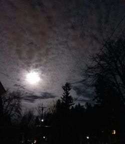 Low angle view of silhouette trees against sky at night