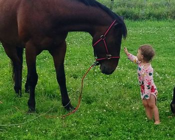 Full length of girl with horse on field