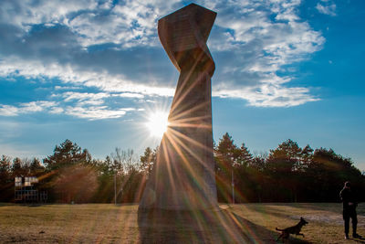 Sun shining through trees against sky