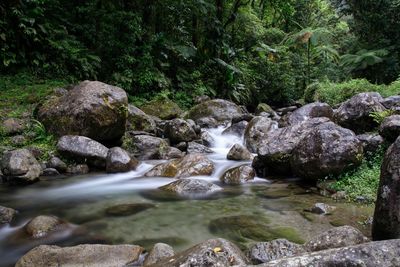 Stream flowing through rocks in forest