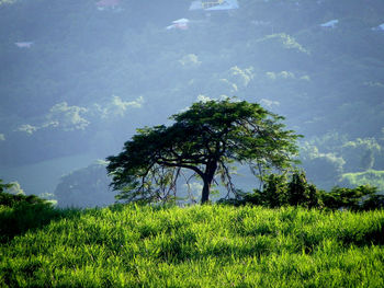 Scenic view of field against cloudy sky