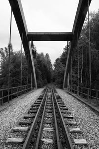 Railroad tracks in forest against sky