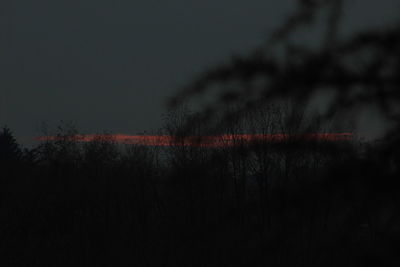 Silhouette plants against sky at dusk