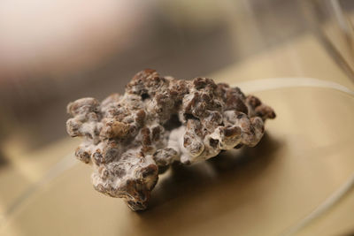 Close-up of ice cream on table