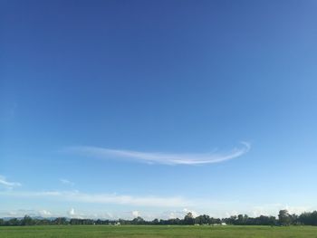 Scenic view of agricultural field against blue sky