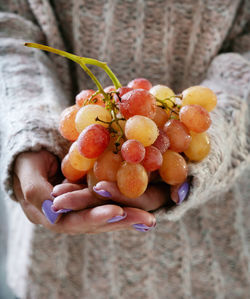 Close-up of hand holding fruits