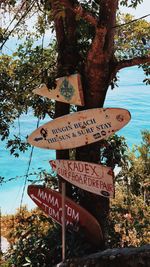 Low angle view of sign board against tree