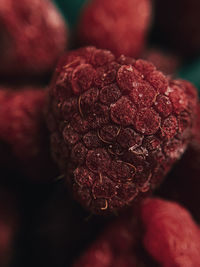 Photo of a macro raspberry on a dark background